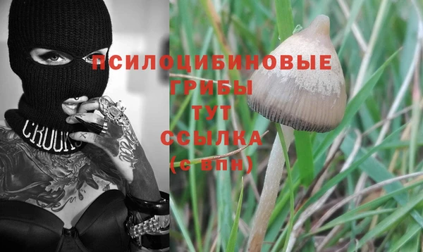 COCAINE Баксан