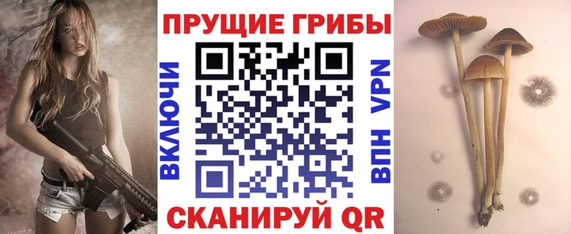 где можно купить наркотик Белинский Псилоцибиновые грибы GOLDEN TEACHER